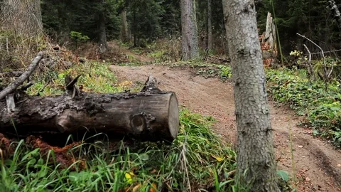 Downhill mountain biker Stock Footage 87478498