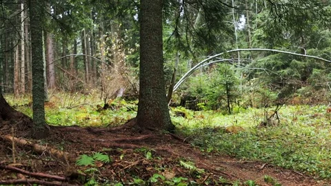 Downhill mountain biker Stock Footage 87478650