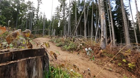 Downhill mountain biker Stock Footage 87478907