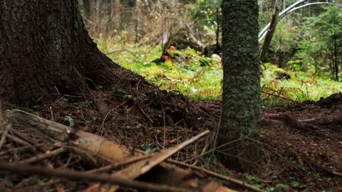 Downhill mountain biker Stock Footage 87479158