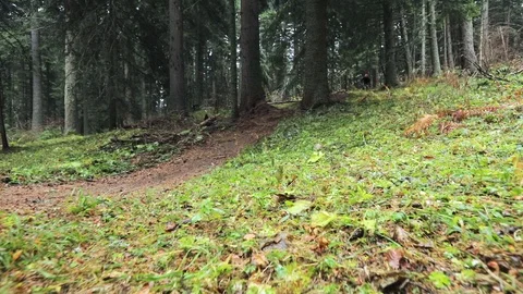 Downhill mountain biker Stock Footage 87479623