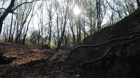 Downhill mountain biker Stock Footage 87481051