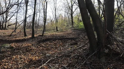 Downhill mountain biker Stock Footage 87482005