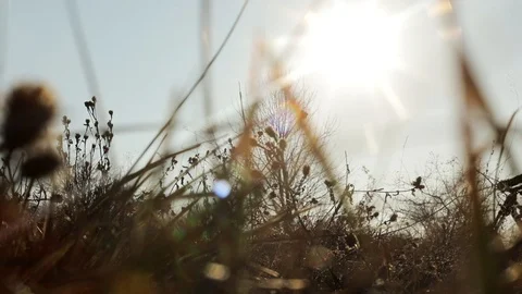 Downhill mountain biker Stock Footage 87482669