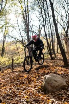 Downhill mountain biker Stock Photos