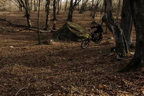 Downhill mountain biker Stock Photos
