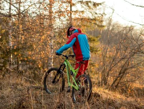 Downhill mountain biker Stock Photos