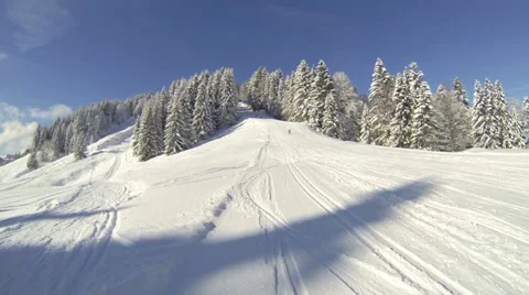 Downhill out forest Stock Footage 34457058