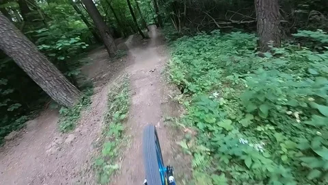 Downhill ride, jumping, hitting the tree, falling Stock Footage