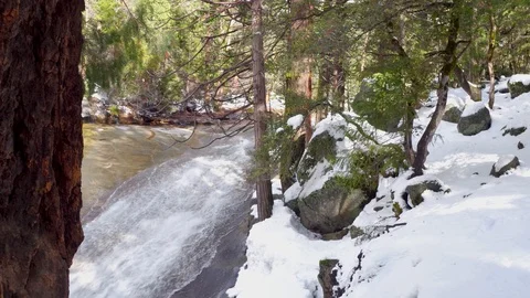 Downhill River Stream Revealed Behind Large Tree Rack Focus 스톡 동영상 87853397