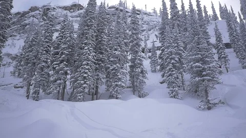 Downhill Skier Shredding Powder Stock Footage 121428362