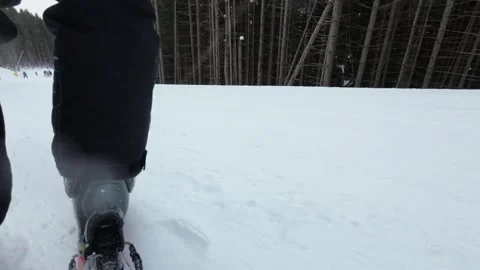 Downhill Skiing, Low Angle View, Rear View. Stock Footage 219001176