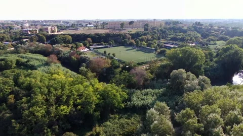 Downhill through the trees Stock Footage 136543246
