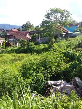 Downhill view 库存照片