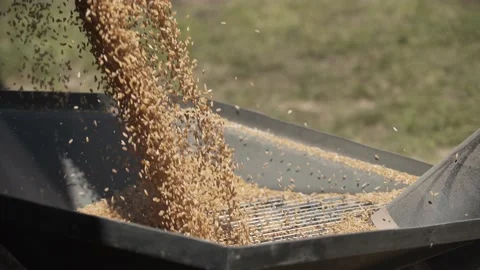 Download grain agro complex work in the field Stock Footage 130302448