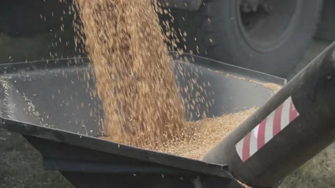 Download grain agro complex work in the field Stock Footage 130302865