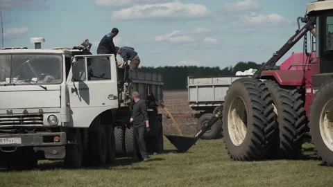 Download grain agro complex work in the field Stock Footage 130304408