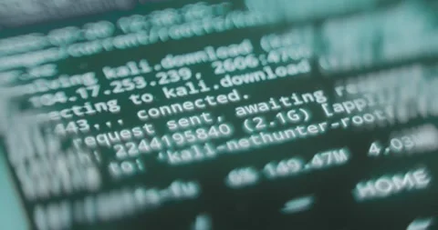 Downloading root file system during installation process Stock Footage 313622088