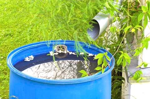 Downpipe and barrel Stock Photos