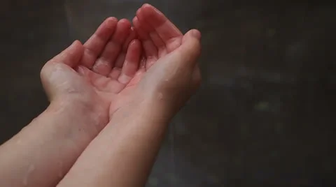 Downpour Vídeo Stock 24367691