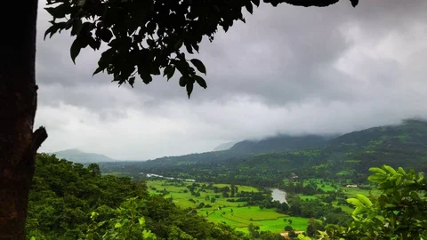 Downpour Stock Footage 94443568