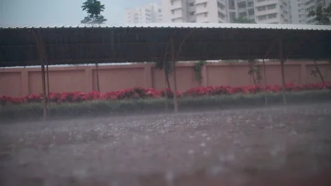 Downpour Stock Footage 160012143