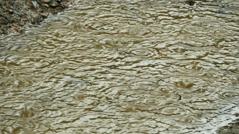 Downpour heavy rain, puddle Stock Footage 234143435