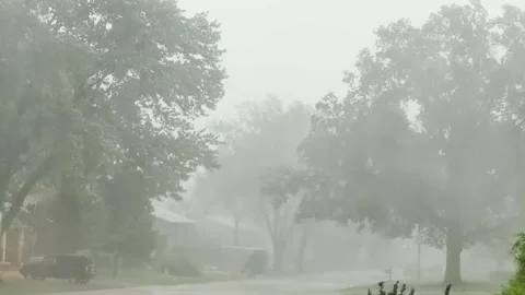 Downpour - Rain - Severe Thunderstorm - Trees Blowing Stock-Footage 342418901