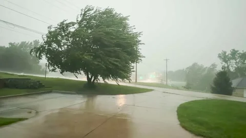 Downpour - Rain - Severe Thunderstorm - Trees Blowing Video stock 342418902