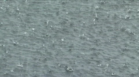 Downpour rain storm Stock Footage 332204