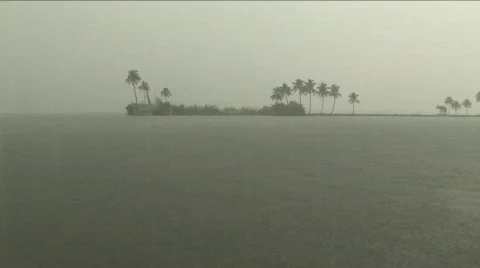 Downpour rain storm Stock Footage 332237
