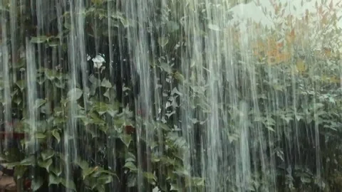 Downpour Rainfall Stock Footage 148780858