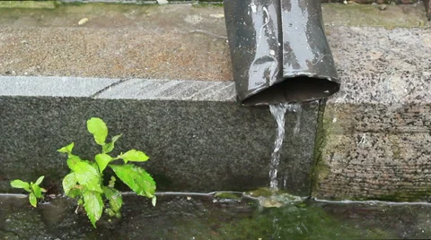 Downspout Video stock 31744902