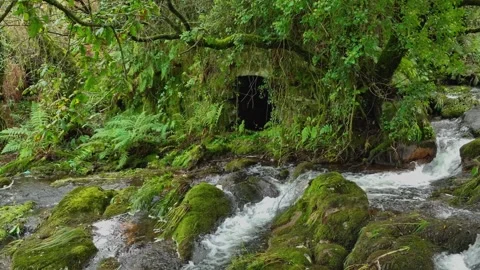 Downsteam Over Rocks Covered With Moss. Slow Motion Stock Footage 255720989