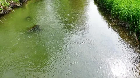 Downstream - Butternut Creek Golf Course - Syracuse, NY Vídeo Stock 336509854