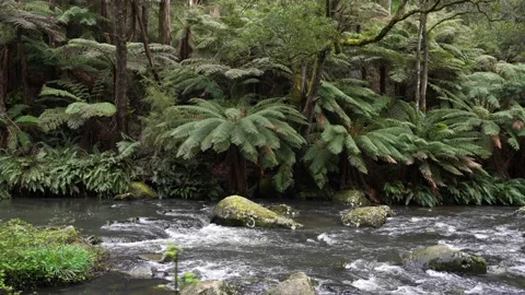 Downstream Stockbeeldmateriaal 217110764