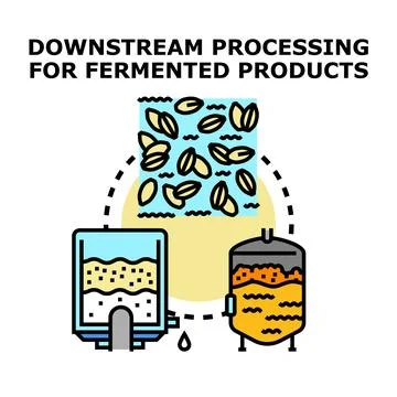 Downstream processing for fermented product purification and separation Stock Illustration