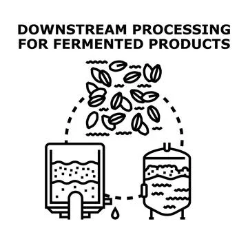 Downstream processing for fermented product purification and separation Stock Illustration