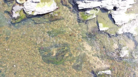 Downstream River continuous Video stock 242923788