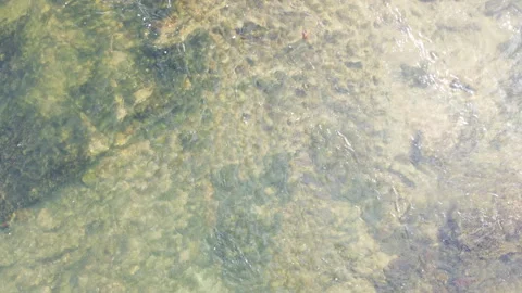 Downstream River continuous Video stock 242925883