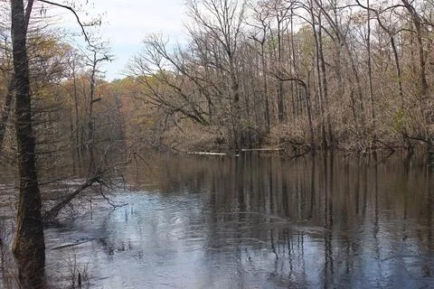 A Downstream View Along the Lumber River Stock Photos