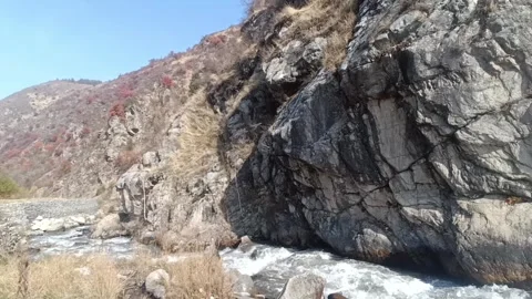 Downstream View of Mountain River with Autumn Red Stock Footage 320534257