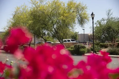 Downtown Apache Junction, Arizona Stock Photos