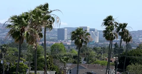 Downtown Costa Mesa Stock Footage 229495090
