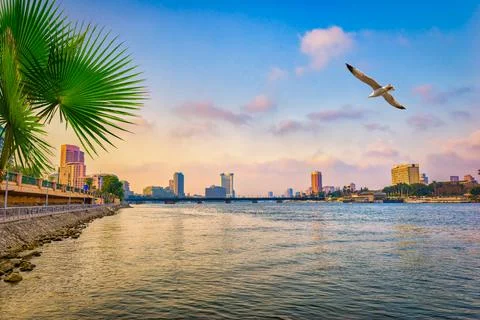 Downtown district in Cairo Stock Photos