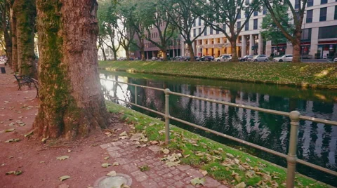 Downtown of Düsseldorf Germany Stock-Footage 56133240