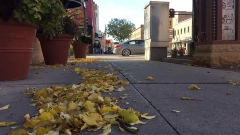 Downtown Fall Time Lapse 스톡 동영상 81339225