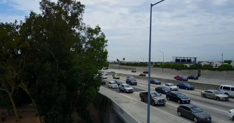 Downtown Freeway off tree Stock Footage 114039421