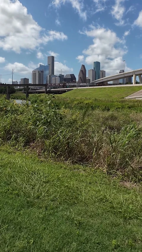 Downtown Houston Stock Footage 310860278