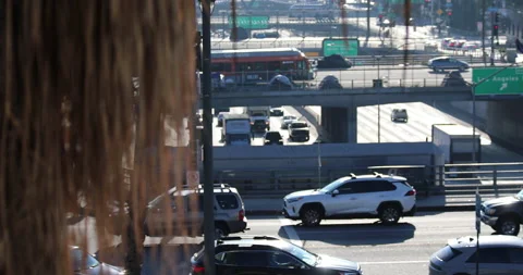 Downtown LA Freeway Overpasses With Traffic And Palm Tree Stock Footage 228649733